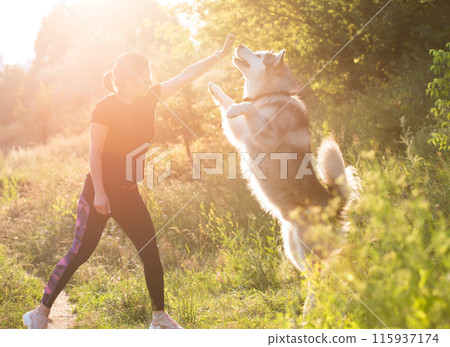 Woman training domestic dog to stand on hind legs outdoors 115937174