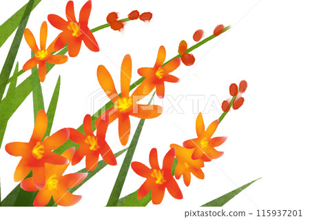 蒙布雷蒂亞花卡 3 115937201