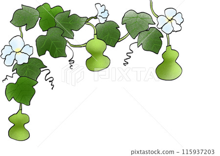 葫蘆花卡1 葫蘆花卡1 115937203