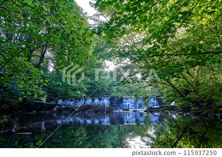 summer forest waterfall calm lake 115937250