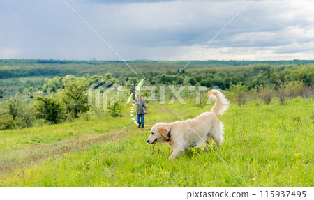 Cute dog with stick walking with pretty girl flying kite in spring nature Cute dog with stick walking with pretty girl flying kite in spring nature 115937495