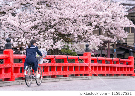 240416 Nakahashi Sakura g077 115937521