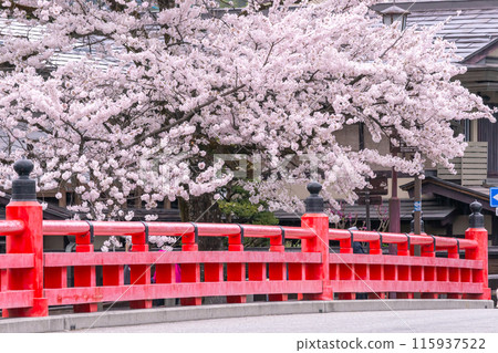 240416 Nakahashi Sakura g064 115937522