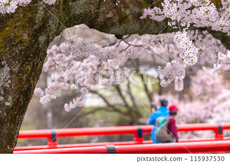 240416 Nakahashi Sakura g045 115937530