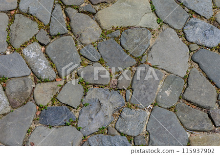 Texture of a stone wall. Stone wall as a background or texture.3 115937902