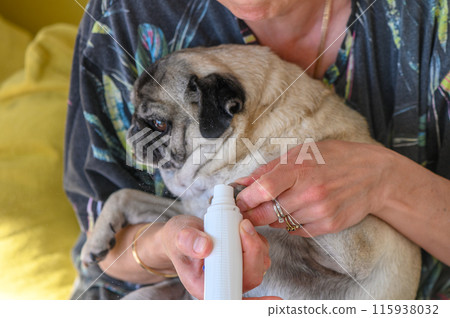 home electric scratching post for dogs. trimming dog's nails 6 115938032