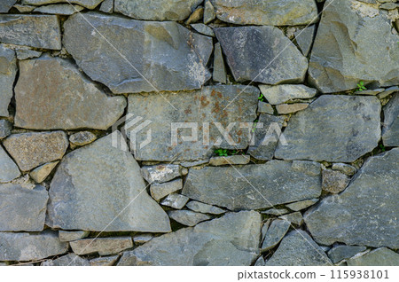old wall of stone shell rock of arbitrary shape.2 115938101