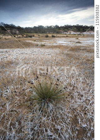 Floor of a lagoon in a semi desert environment Floor of a lagoon in a semi desert environment 115938382