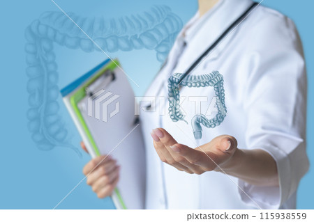 The doctor shows the large intestine. 115938559