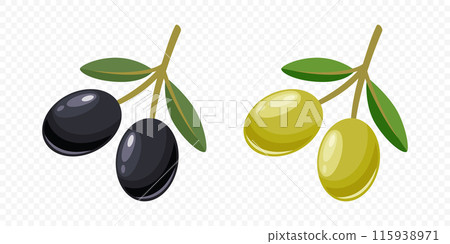 Flat Vector Black and Green Olives Set. Hand Drawn Olive Tree Berry, Branch Clipart. Olive Twig with Leaves. Design Template for Olive Oil Products, Packaging, Food Concept Flat Vector Black and Green Olives Set. Hand Drawn Olive Tree Berry, Branch Clipart. Olive Twig with Leaves. Design Template for Olive Oil Products, Packaging, Food Concept 115938971