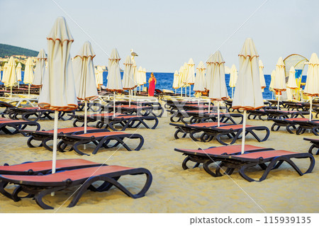 Empty Sandy beach lined with white umbrellas and red lounge chairs 115939135