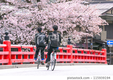 240419 中橋櫻 g054 240419 中橋櫻 g054 115939194