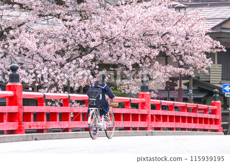 240419 中橋櫻 g043 115939195