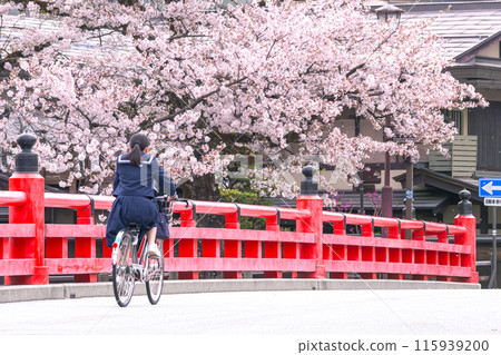 240419 Nakahashi Sakura g032 240419 Nakahashi Sakura g032 115939200