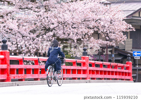 240419 中橋櫻g010 240419 中橋櫻g010 115939210