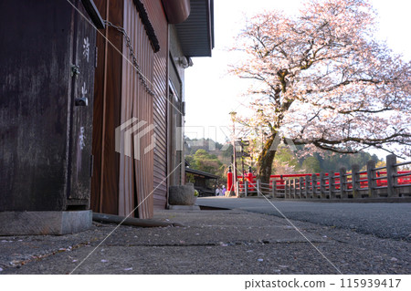 240420 Nakahashi Sakura z038 115939417