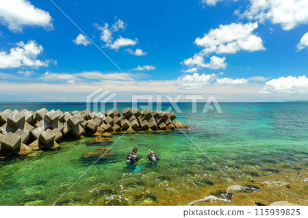 Diving course Diving course 115939825