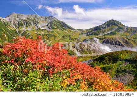立山山脈秋季徒步旅行 115939924
