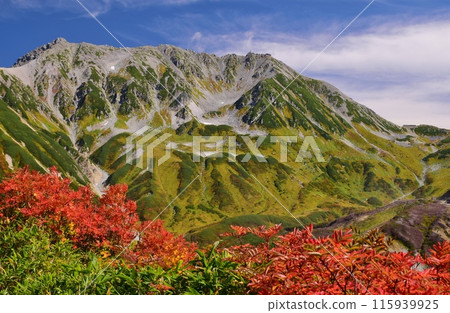 立山山脈秋季徒步旅行 115939925