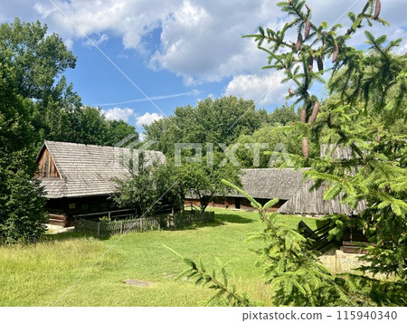 Branch of a coniferous tree on the background of a wooden house. Upper Silesian Ethnographic park. 115940340