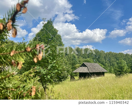 Branch of a coniferous tree on the background of a wooden house. Upper Silesian Ethnographic park. 115940342