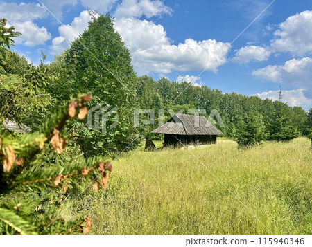 Branch of a coniferous tree on the background of a wooden house. Upper Silesian Ethnographic park. 115940346
