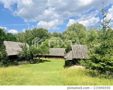 Branch of a coniferous tree on the background of a wooden house. Upper Silesian Ethnographic park. 115940350