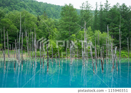 Biei Blue Pond 115940351