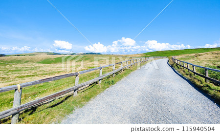 Utsukushigahara trekking: Utsukushigahara panoramic course 115940504