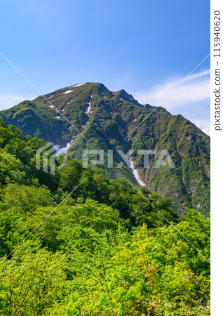 (群馬縣)初夏的谷川山和天神嶺的壯麗景色 (群馬縣)初夏的谷川山和天神嶺的壯麗景色 115940620