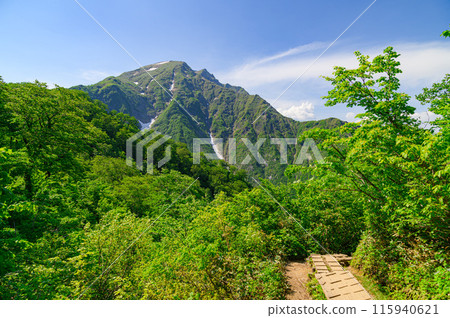 （群馬縣）初夏的谷川山和天神嶺的壯麗景色 115940621