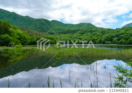 Reflection of the waterside 115940821