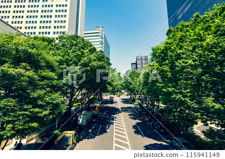 Office district through dense tree-lined streets Shinjuku Subcenter 2024.06 a-4 Emphasis on warm and cool colors 115941149