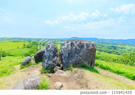 Oshidoishi Hill in early summer, Minamioguni Town, Kumamoto Prefecture 115941429