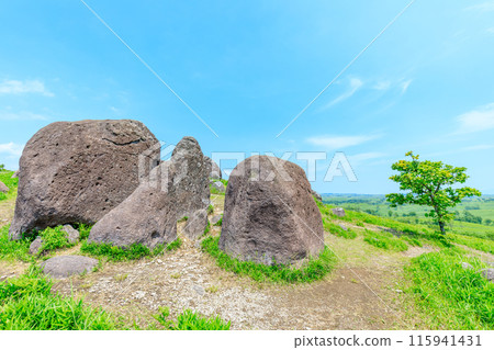 熊本縣南小國町初夏的大志戶石山 115941431