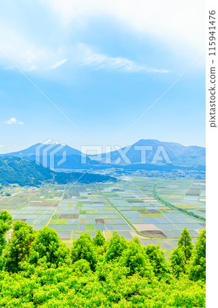 View from Shiroyama Observatory in early summer, Aso City, Kumamoto Prefecture 115941476