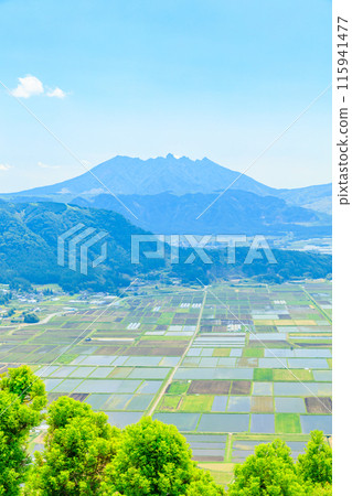 熊本縣阿蘇市初夏城山展望台的景色 115941477