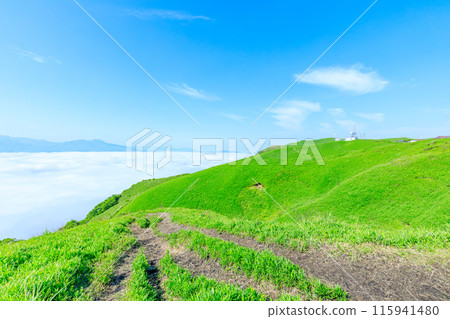 熊本縣阿蘇市初夏從大觀峰看到的雲海和風景 115941480