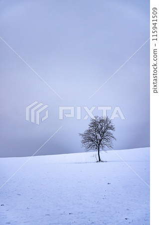 Spirit Tree in the Snow, Minamisōma 115941509