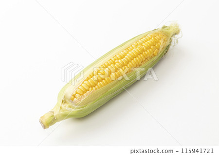 白色背景上的新鮮玉米 115941721