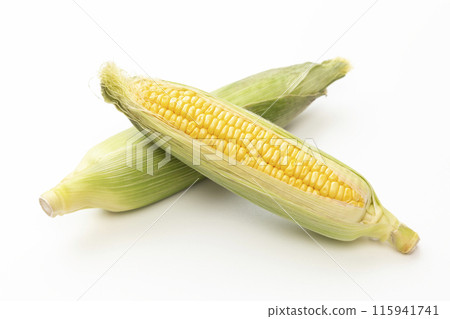 白色背景上的新鮮玉米 115941741