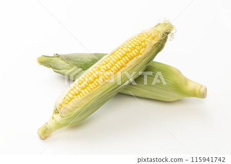 白色背景上的新鮮玉米 白色背景上的新鮮玉米 115941742