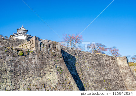 Shirakawa-Komine Castle: Main citadel high stone wall, drop-stone wall, Sakura-no-mon ruins, three-story tower 115942024