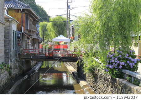靜岡縣下田市佩里路街道景觀 115942037
