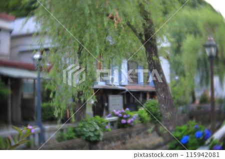 靜岡縣下田市佩里路街道景觀 靜岡縣下田市佩里路街道景觀 115942081