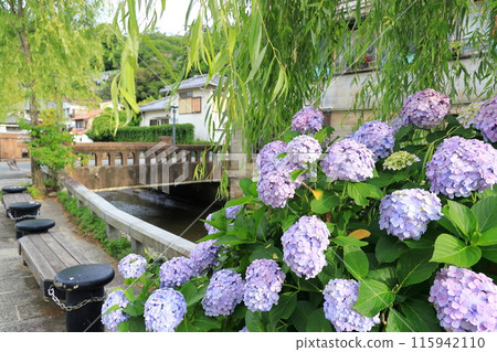 Townscape of Perry Road, Shimoda City, Shizuoka Prefecture Townscape of Perry Road, Shimoda City, Shizuoka Prefecture 115942110