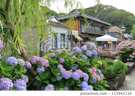 Townscape of Perry Road, Shimoda City, Shizuoka Prefecture 115942116