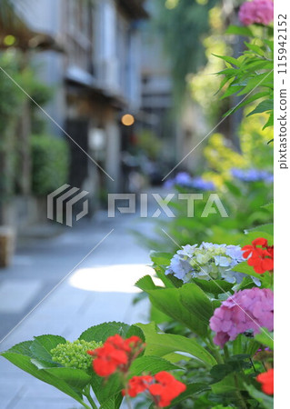 Townscape of Perry Road, Shimoda City, Shizuoka Prefecture 115942152