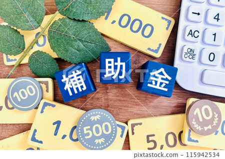 Subsidy text image Subsidy text image 115942534