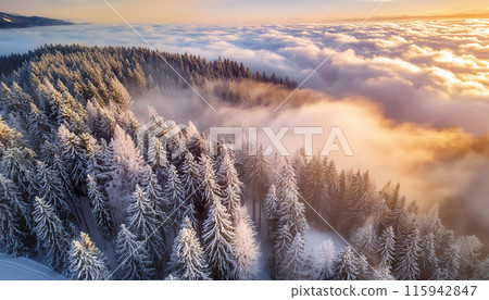 Tranquil Winter Landscape A serene winter landscape with snow covered trees and a sea of clouds 115942847